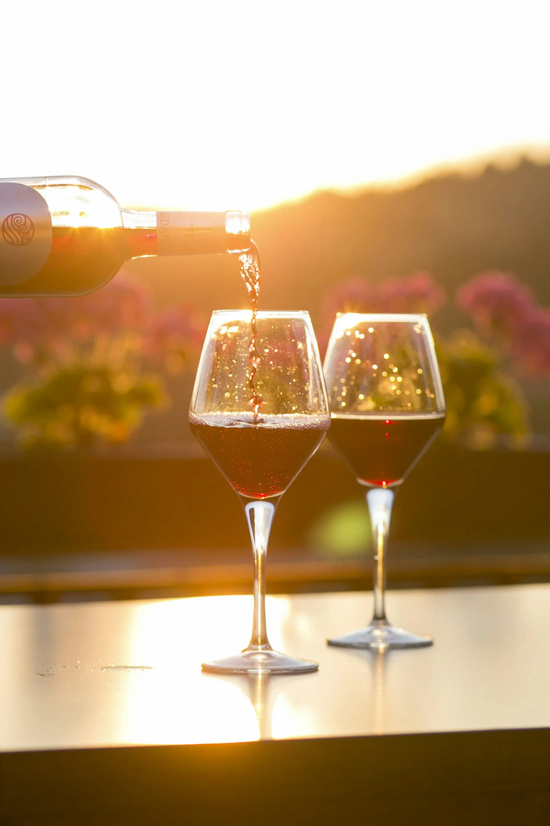 Two glasses of wine backlit by low golden sun over the vineyard